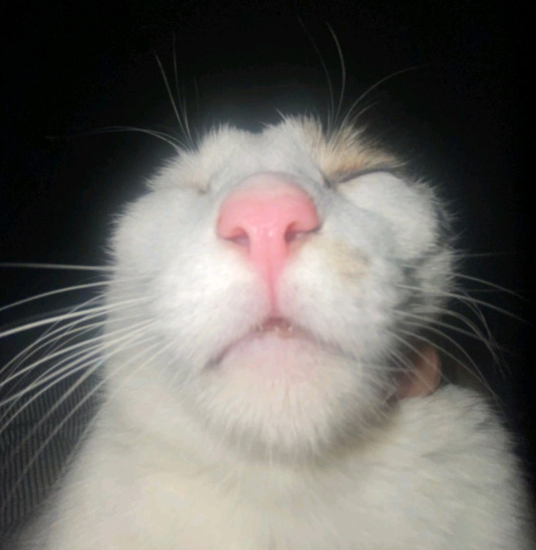 1000021403