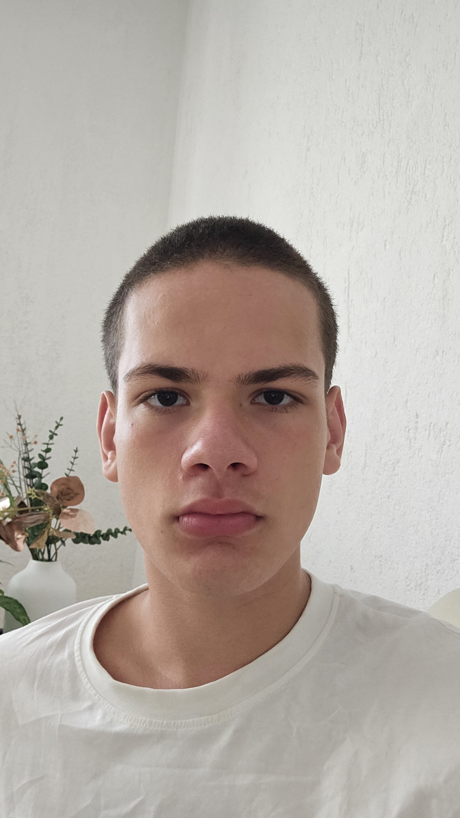 67431