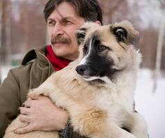 Why Are Dogs Called 'Man's Best Friend'? | The Rover Blog