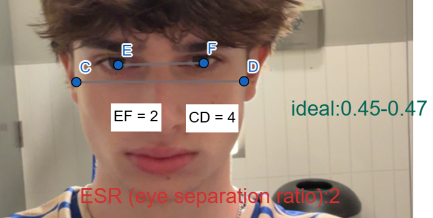 1786560482411