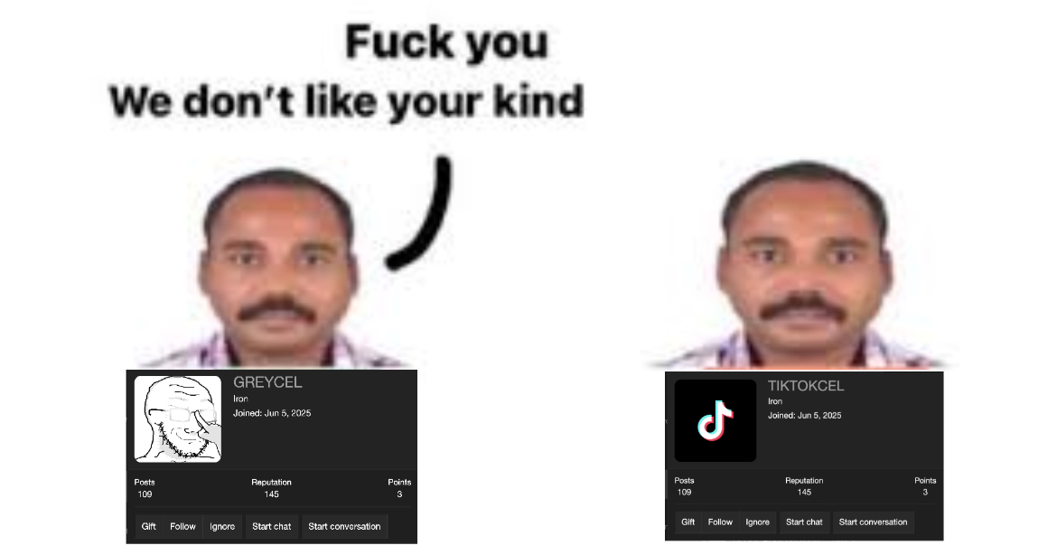 Greycel vs tiktokcel