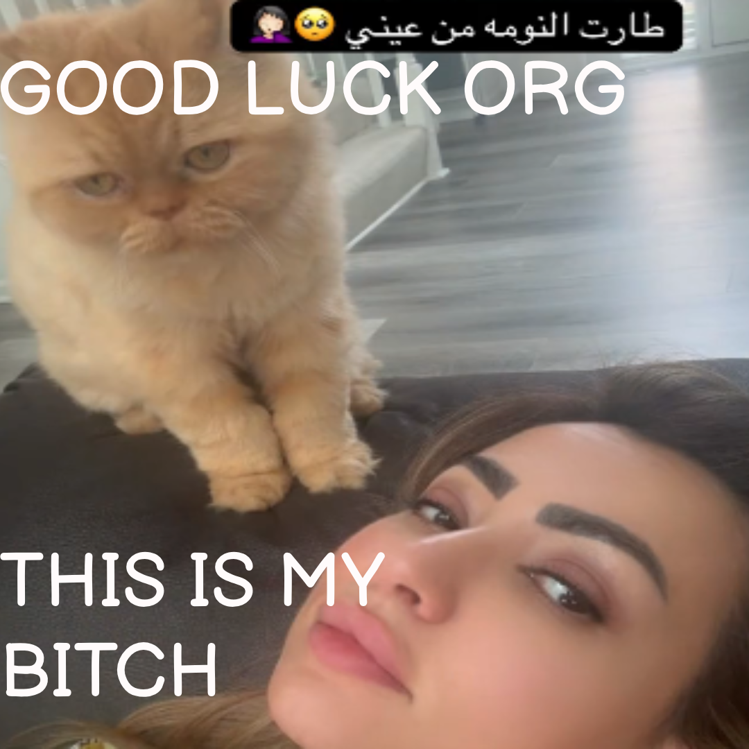 Verdams mom cat owns