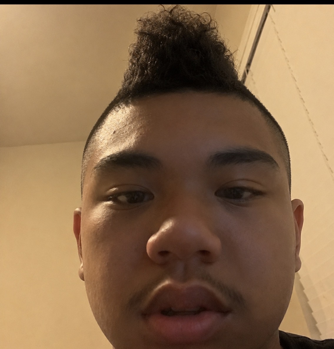 IMG 1508