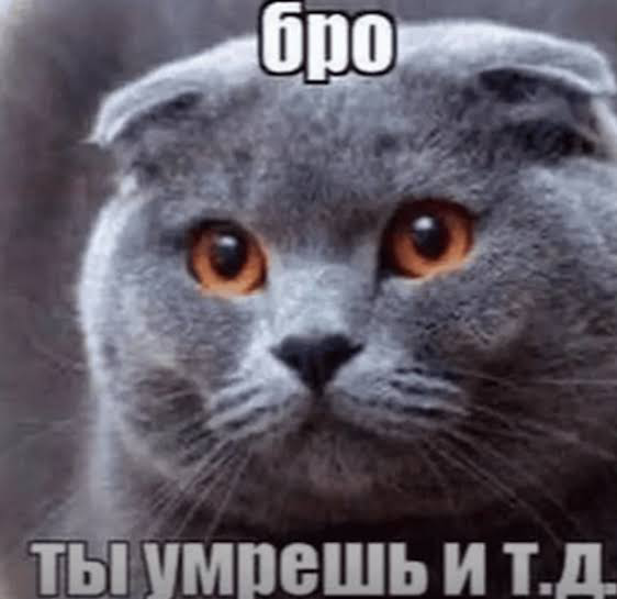 1786626232723