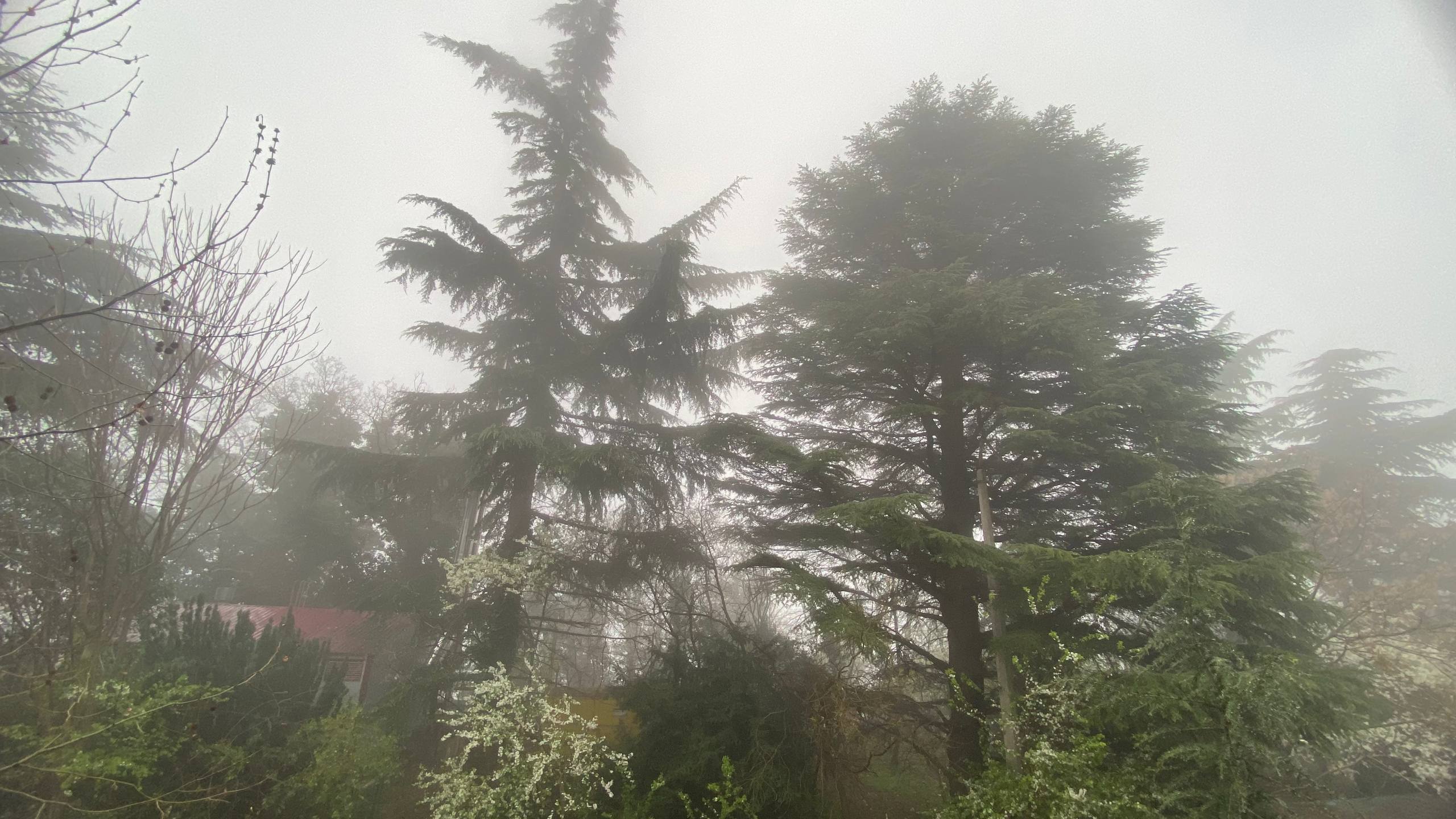 Photo 2026 03 31 00 57 25