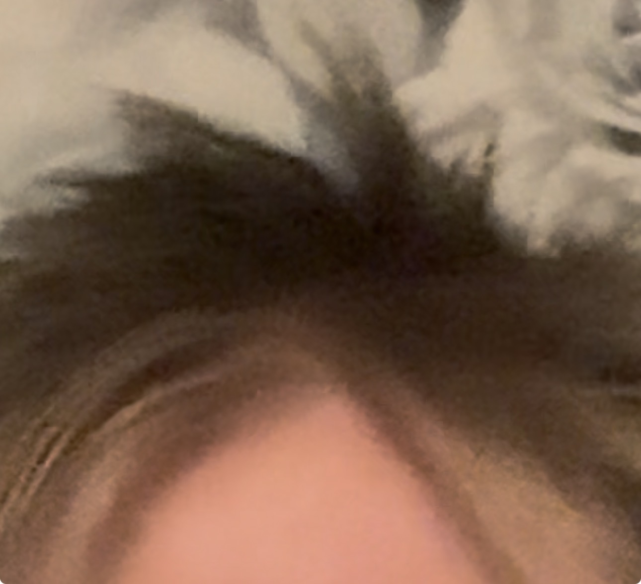 IMG 1796