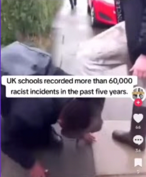 IMG 4627