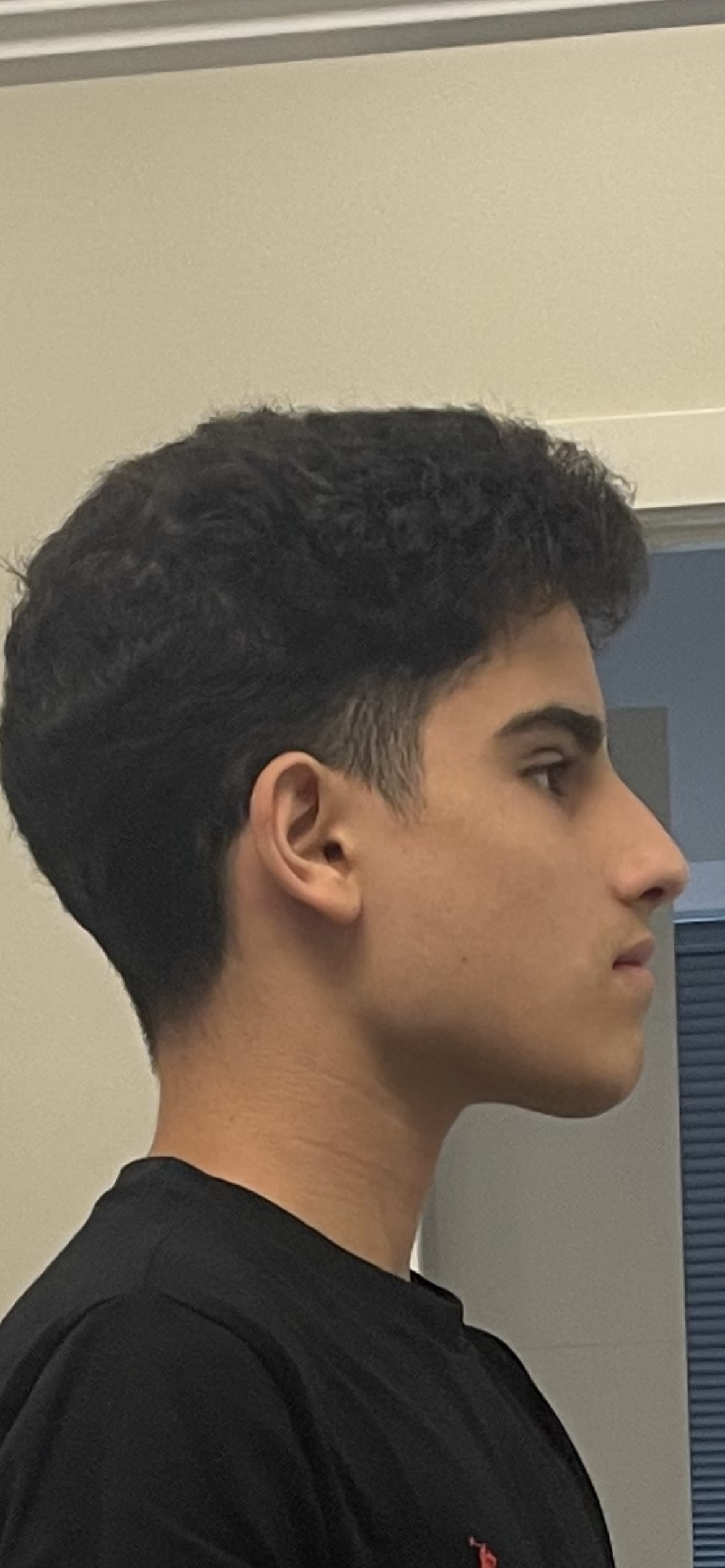 IMG 0386