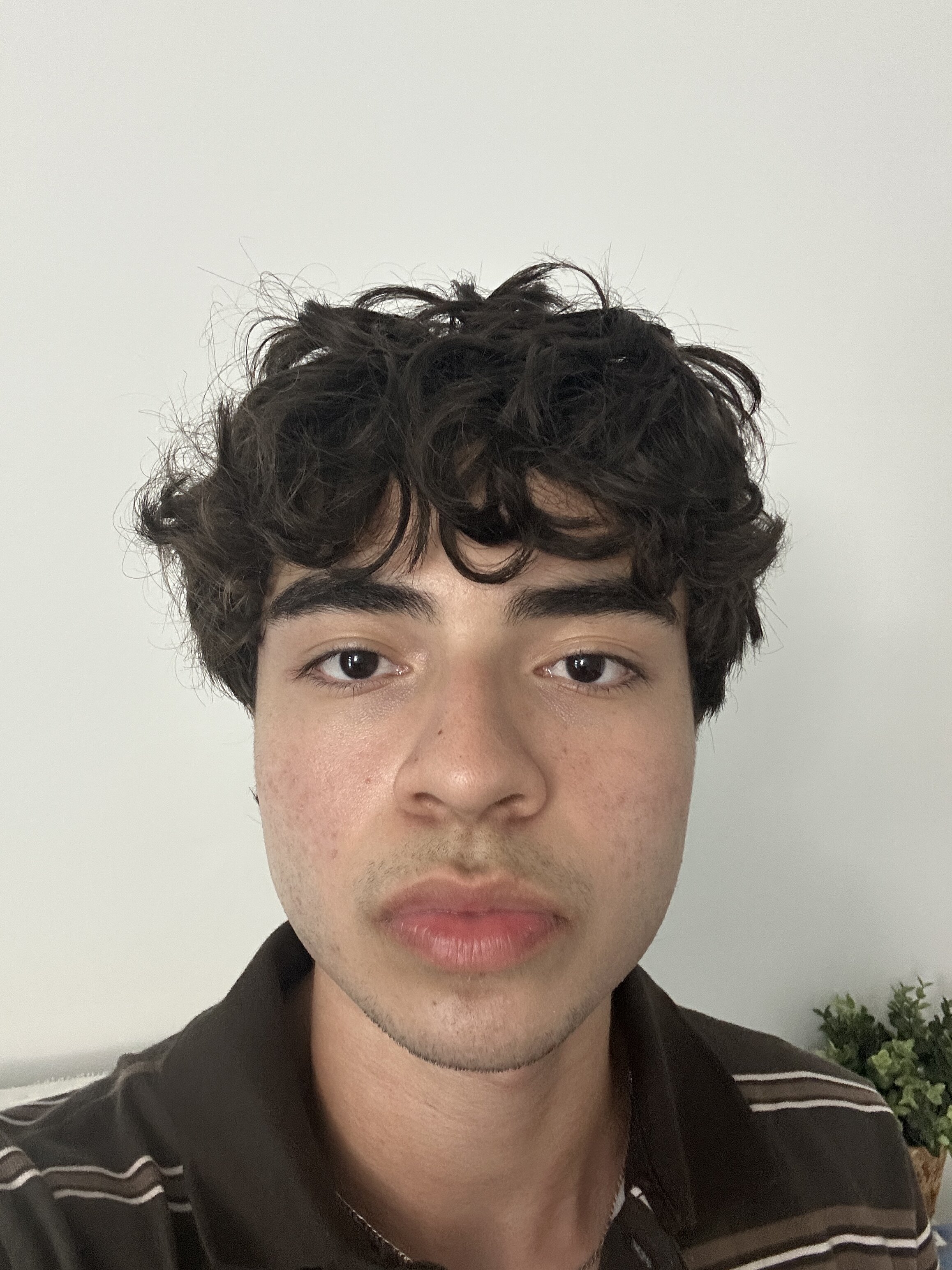IMG 1368