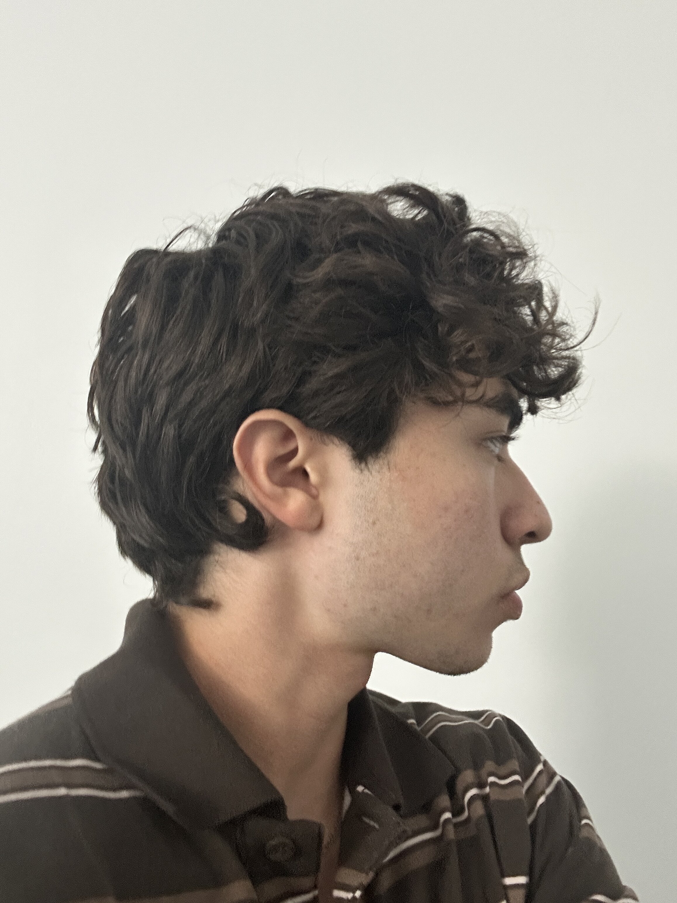 IMG 1366