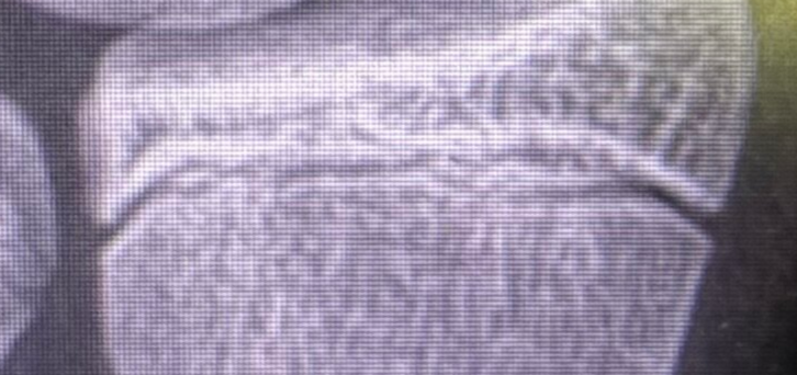 1786661805151