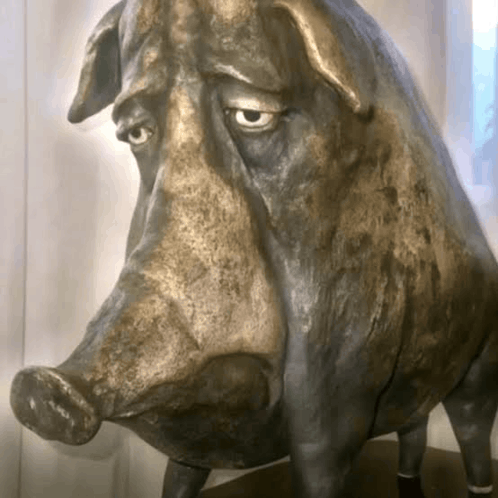 Tired of life pig fat ugly pig