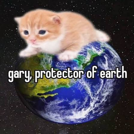 1786667089994