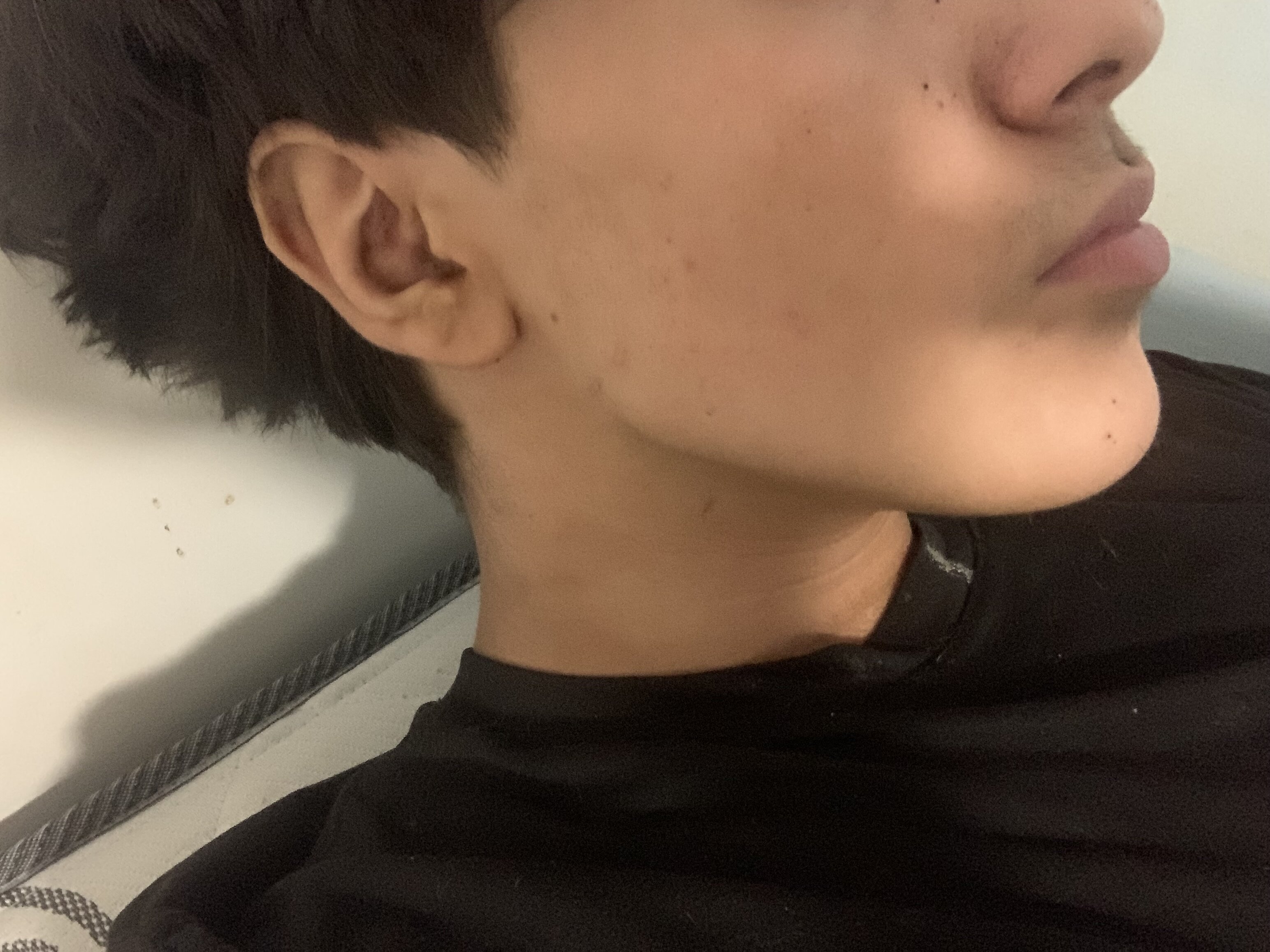 IMG 2685