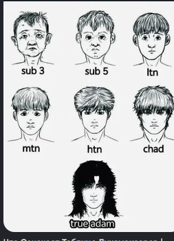1786703195164