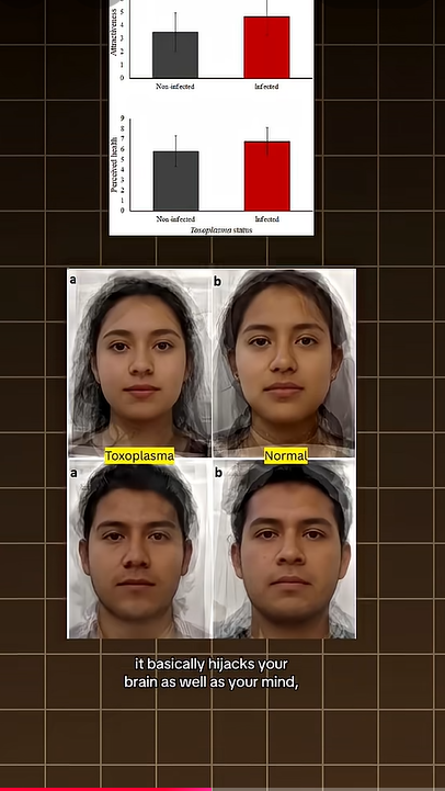 1786715244145