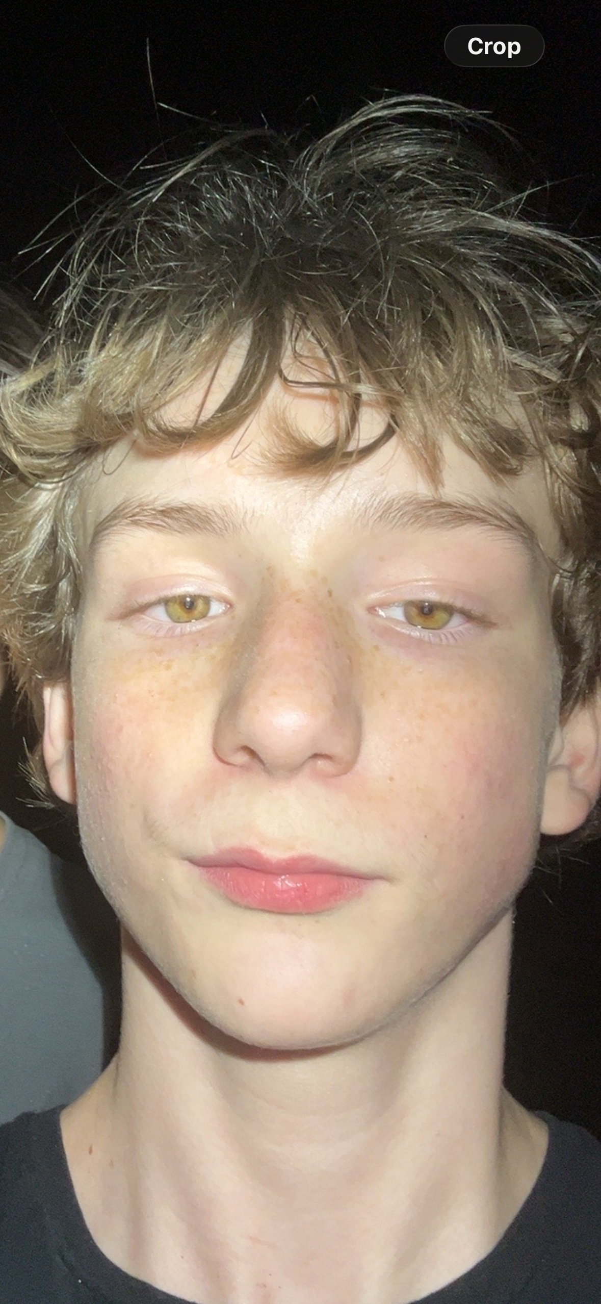 IMG 0233