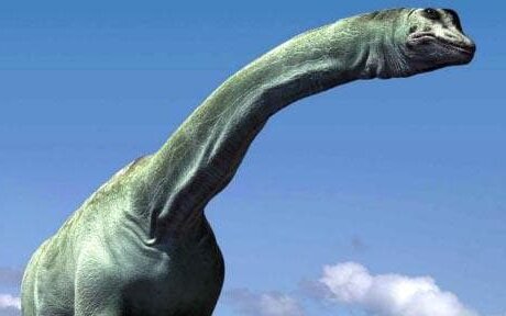 Sauropod 1376015c