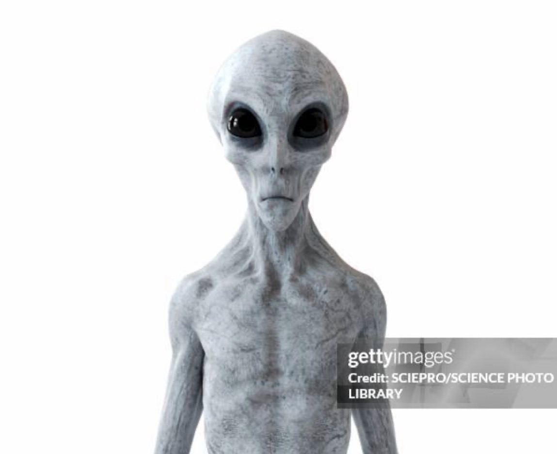 IMG 1194