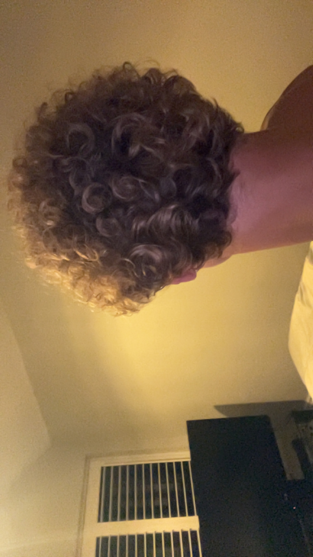 IMG 4535