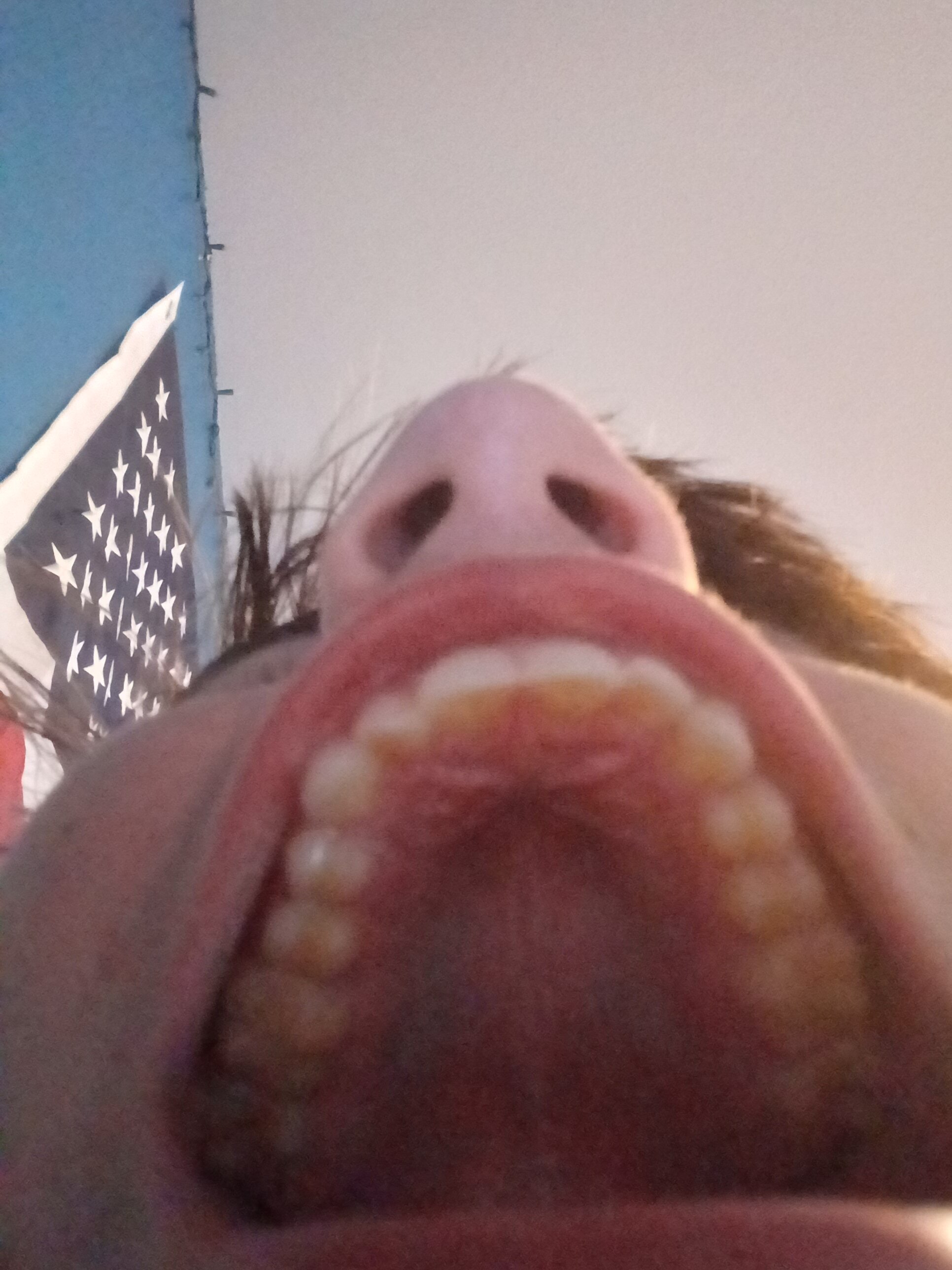17867514841332903487568828790998