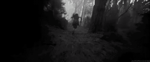 Chase run