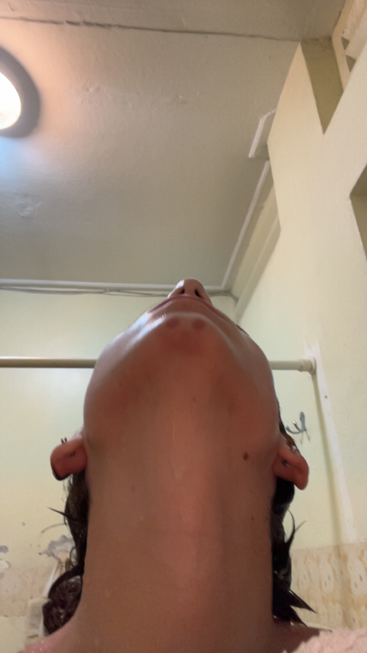 IMG 2450