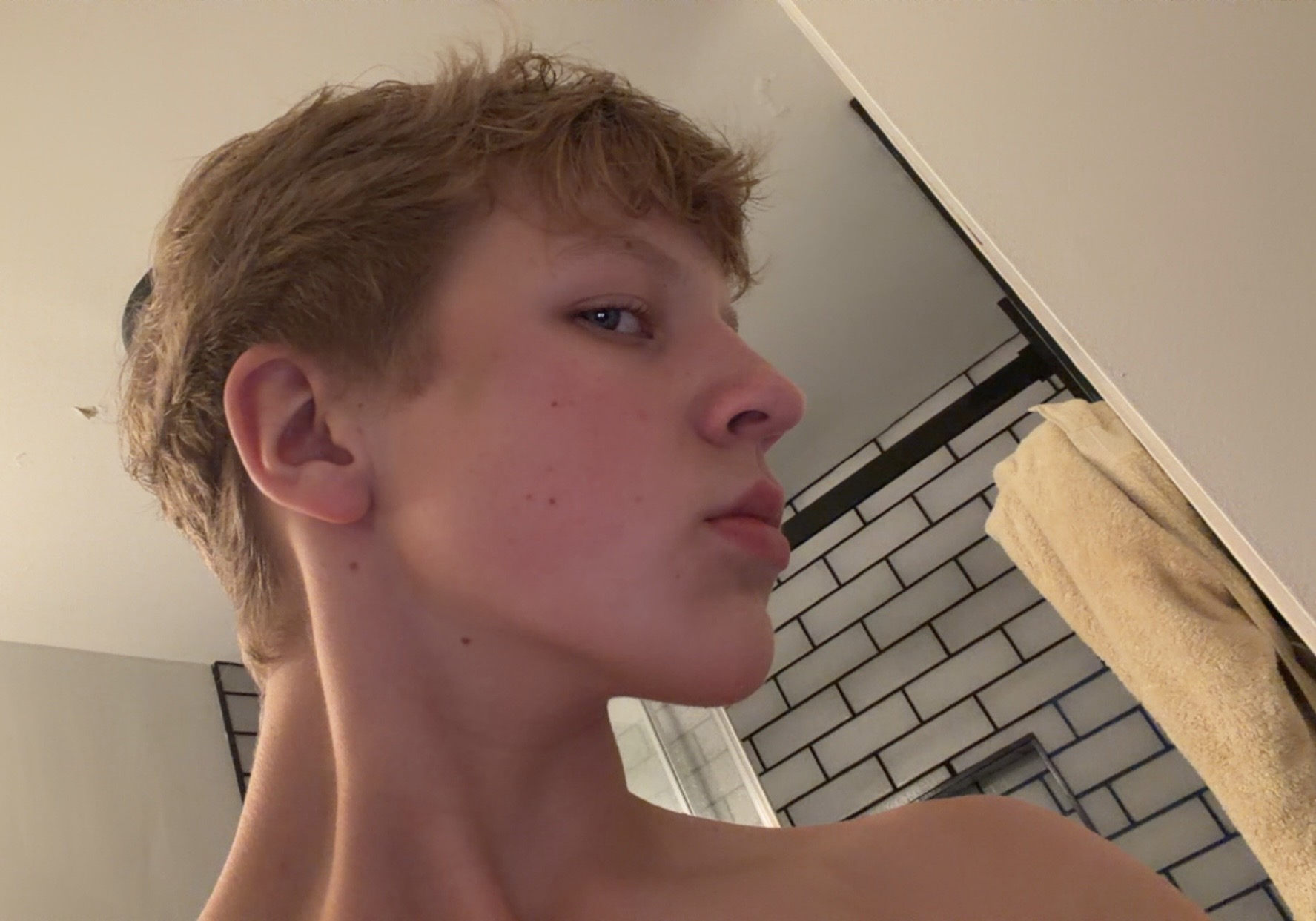IMG 1736