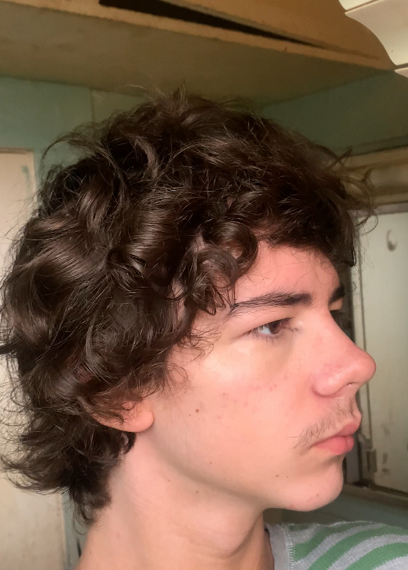 IMG 0230