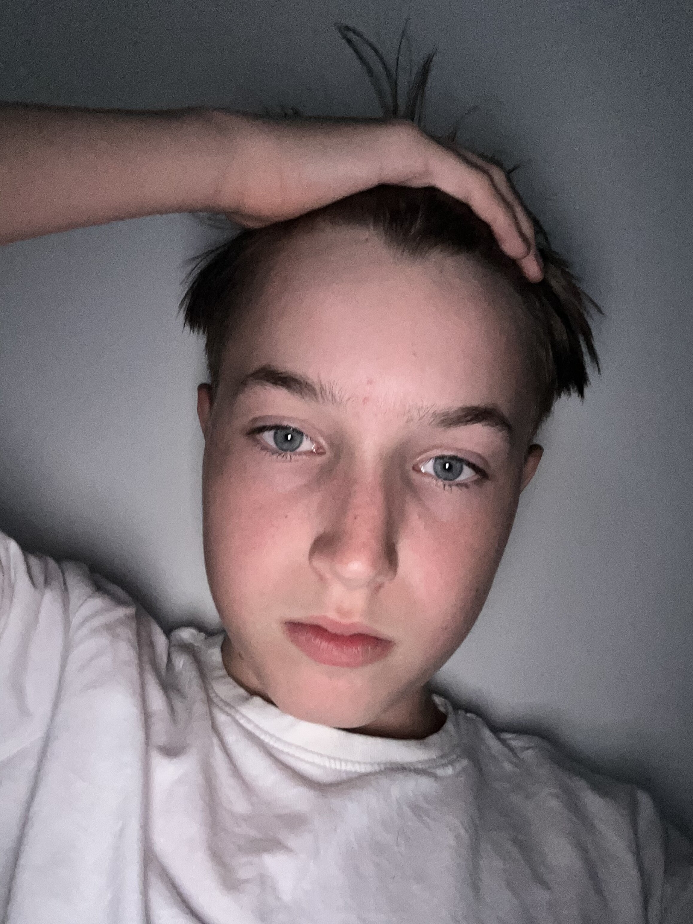 IMG 0012