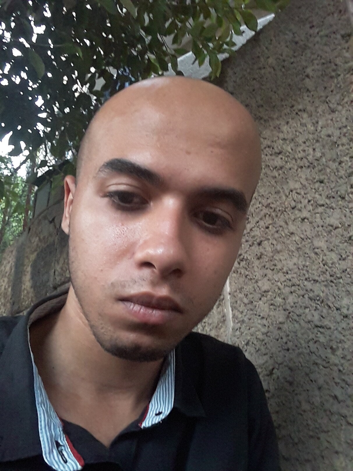20260815 192311
