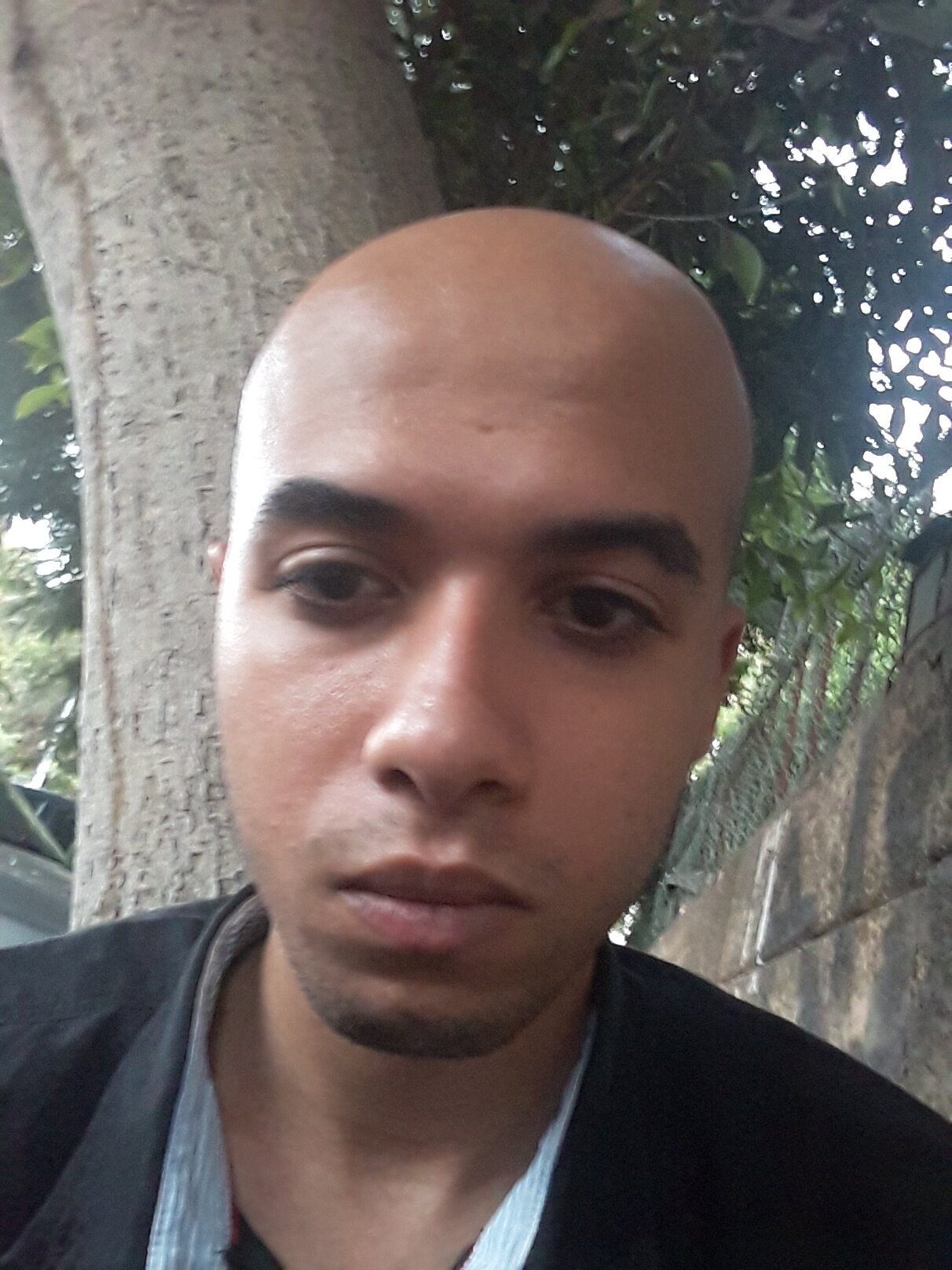 20260815 192303