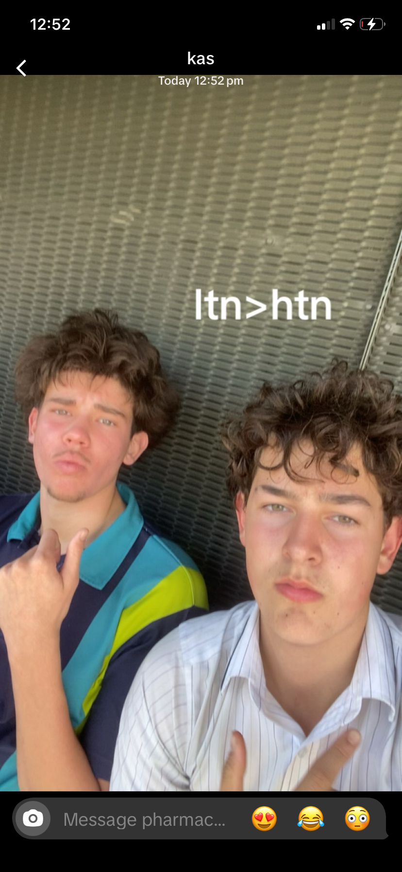 IMG 3536