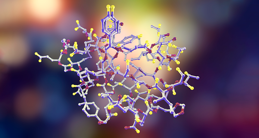 860 main hormone explainer