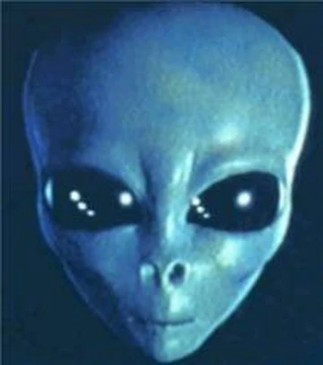 1786872839787