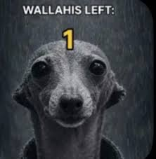 1786927652799