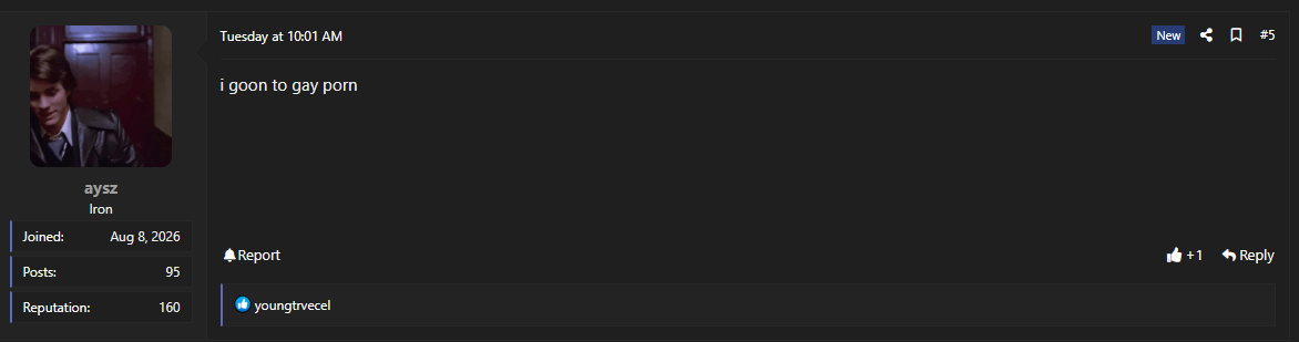 Screenshot 2026 08 17 013904