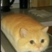 IMG 1316