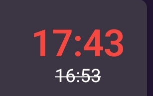 1000029413