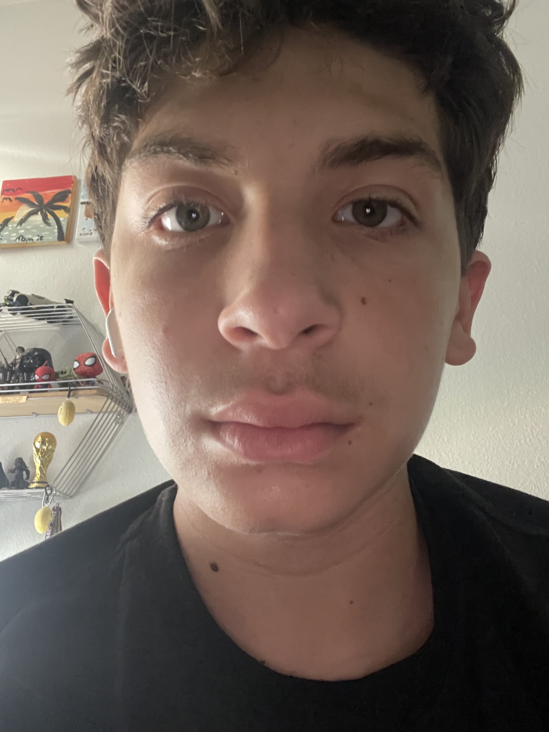IMG 1736
