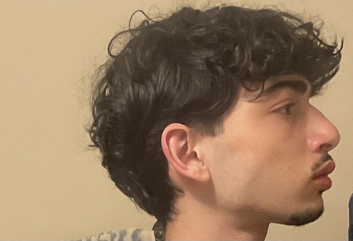 IMG 2750