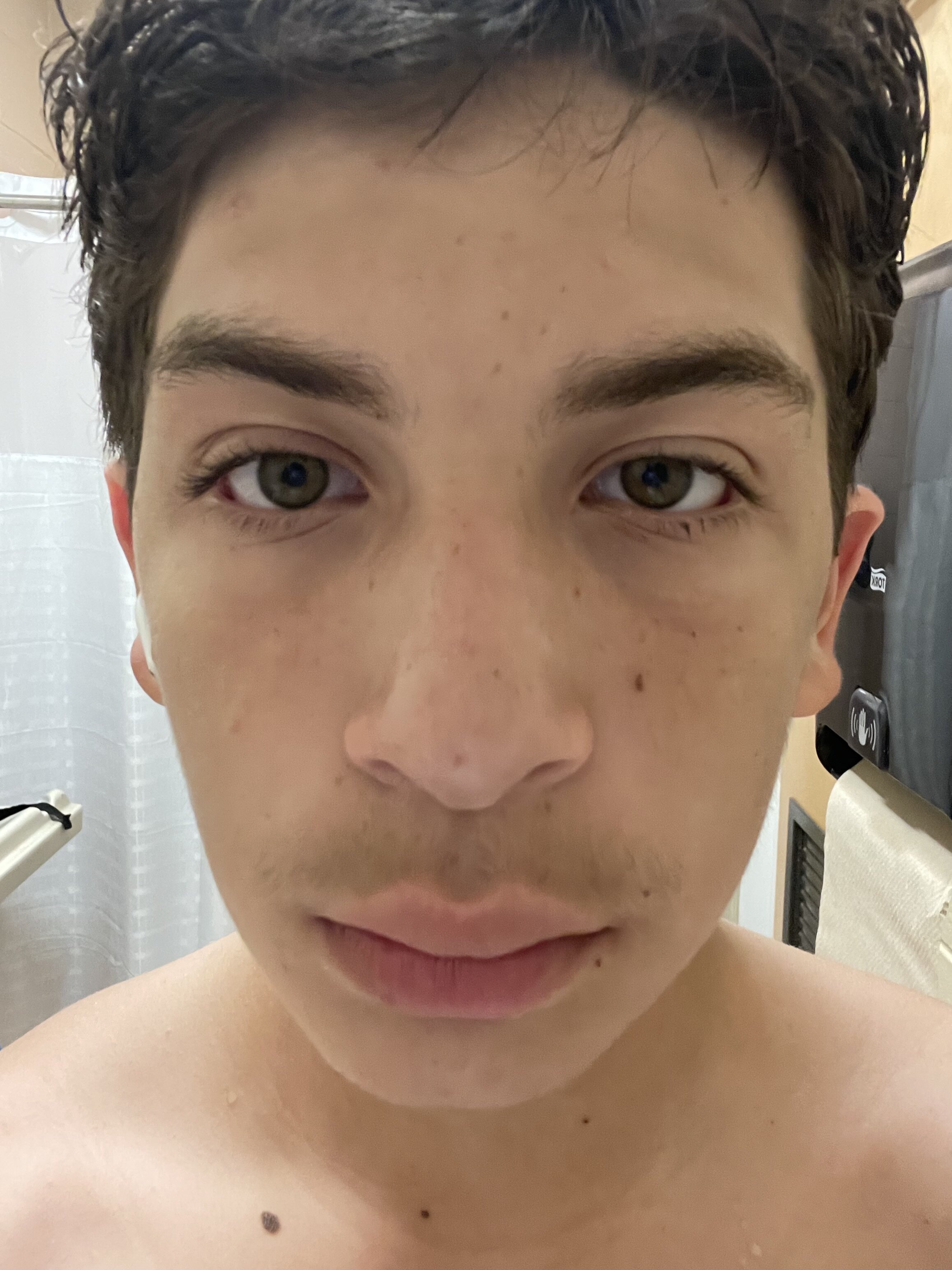 IMG 1750