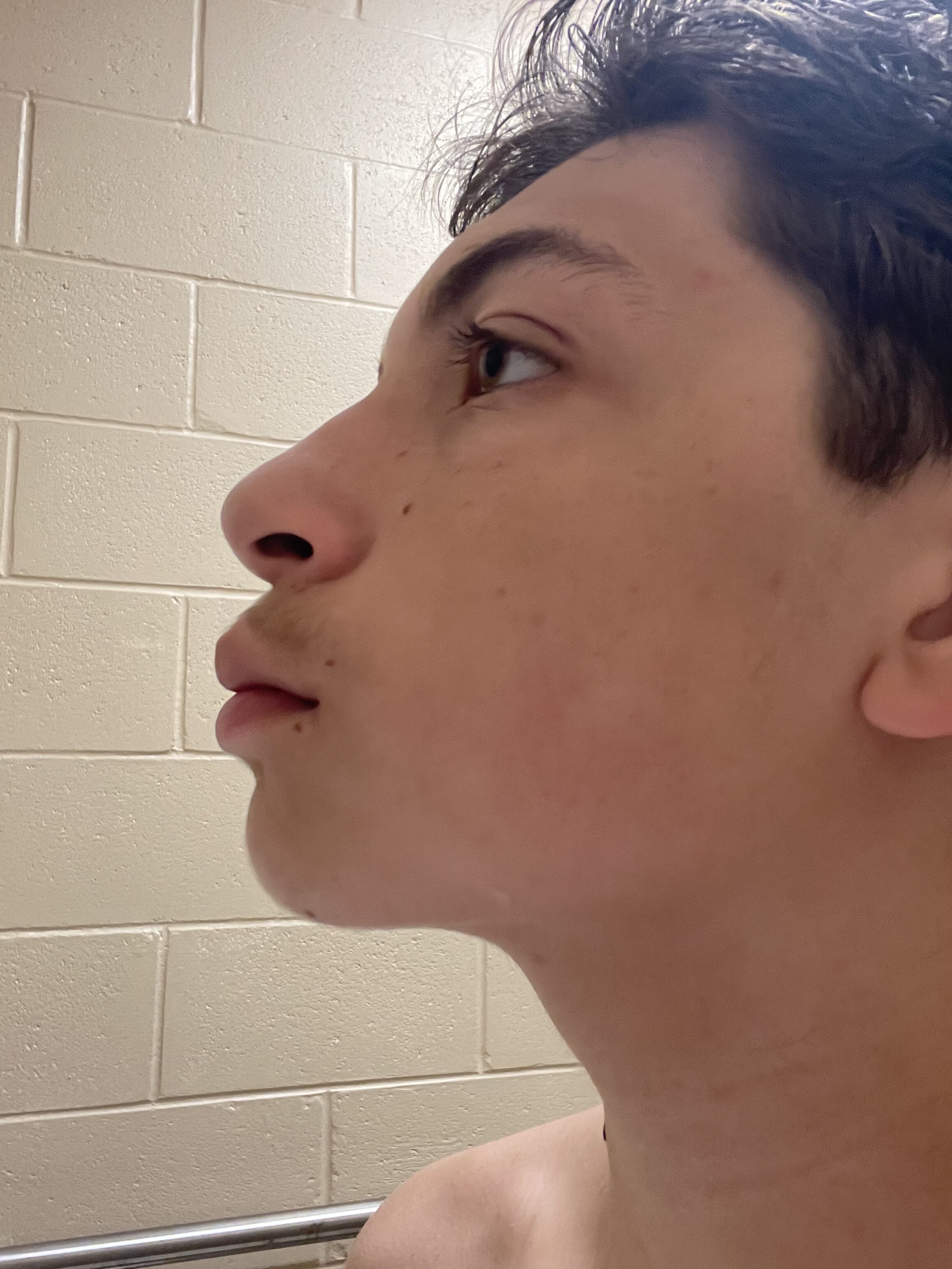 IMG 1754