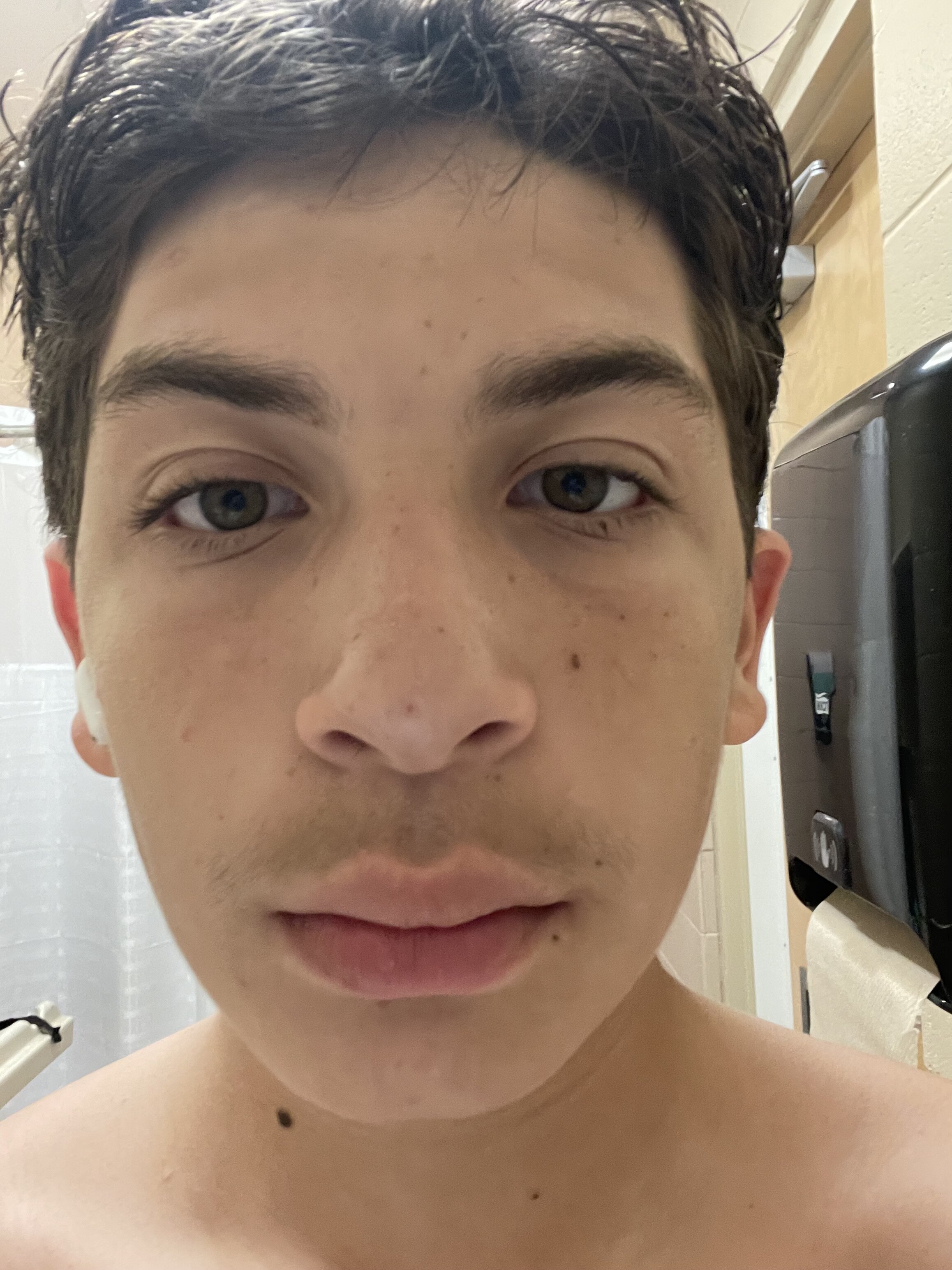 IMG 1742
