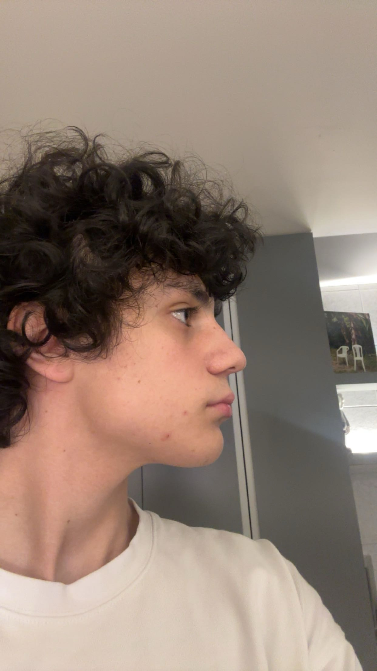 IMG 2903