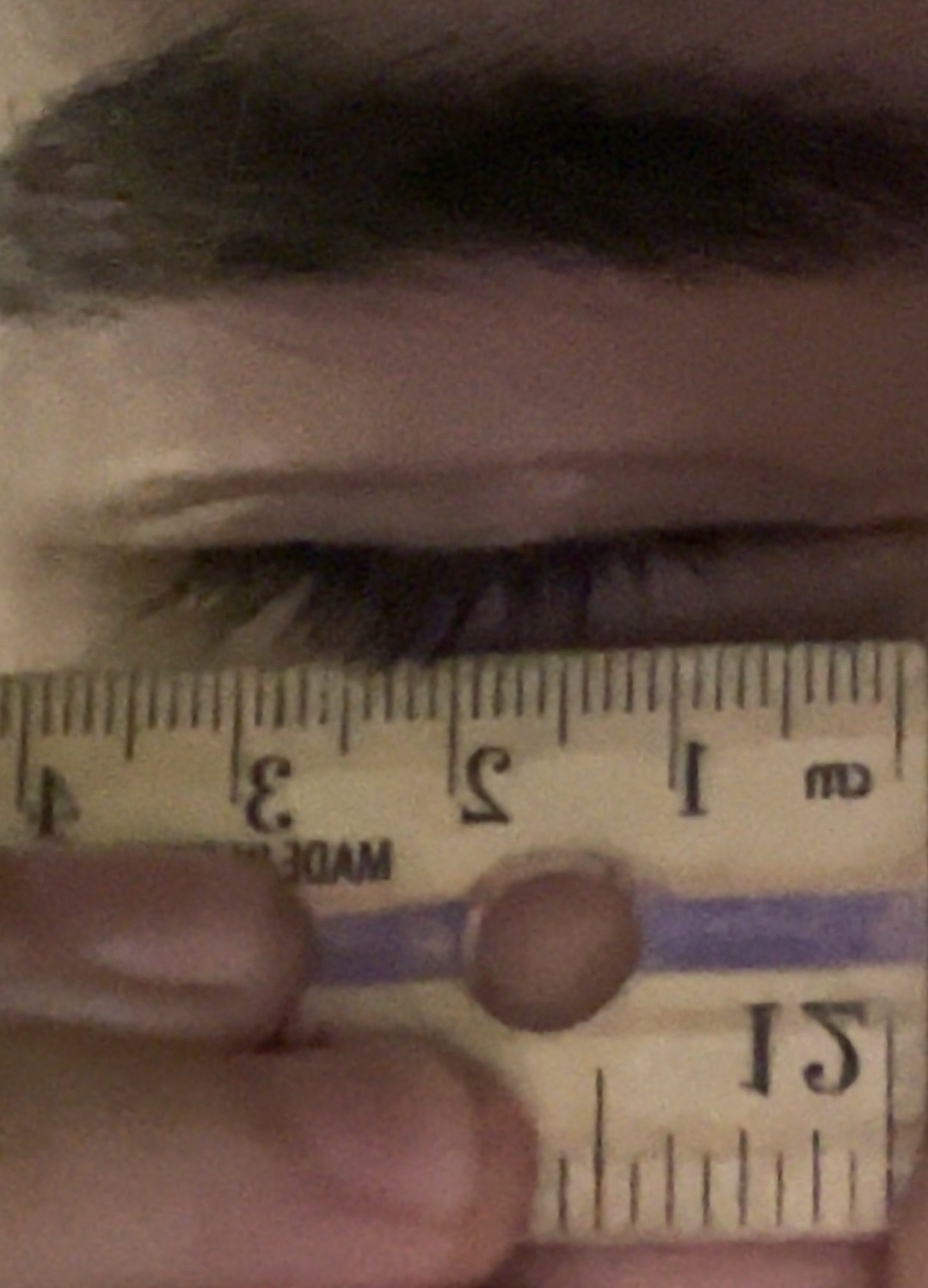 IMG 3749