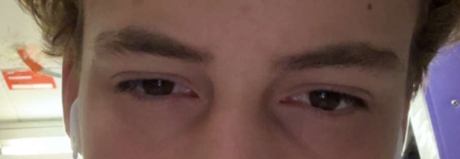 IMG 0524