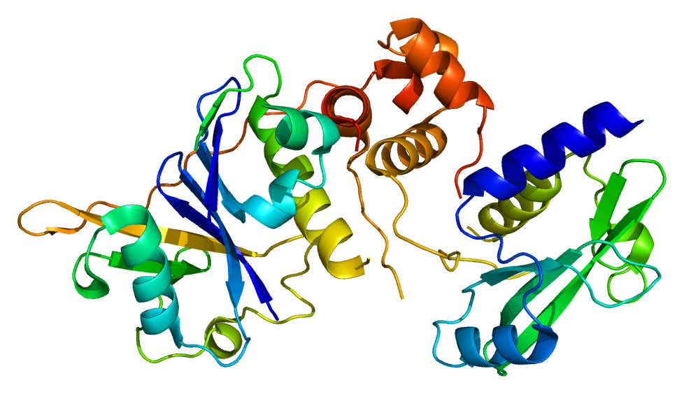 Protein SOCS2 PDB 2c9w
