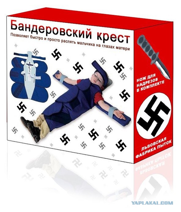 3568054