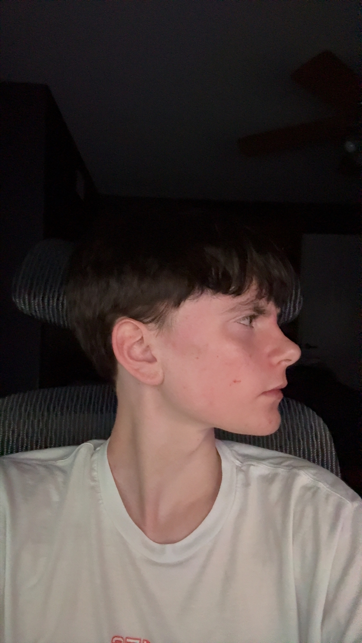 IMG 2478